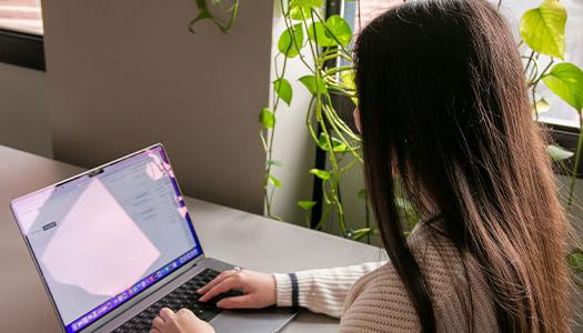 Image of a student working at a laptop